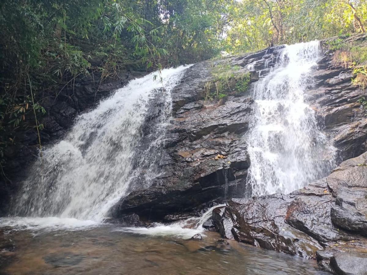 Coorg West End