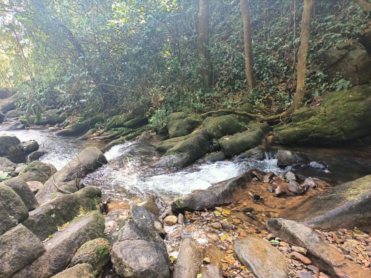 Coorg West End *