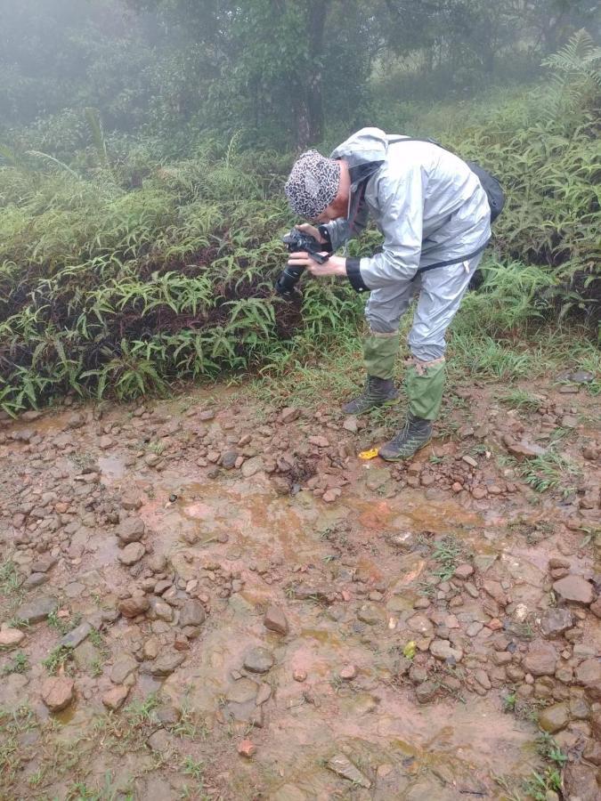 Homestay Coorg West End *